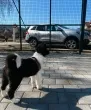 Slika 1