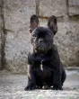 Slika 2
