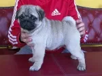 Slika 3
