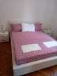 Slika 1