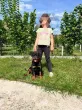 Slika 3
