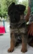 Slika 2
