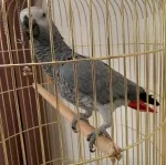 Slika 3