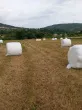 Slika 1