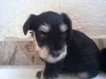 Slika 2