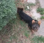 Slika 2