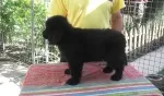 Slika 6