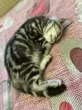 Slika 2
