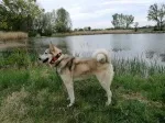 Slika 2