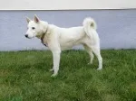 Slika 3
