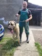 Slika 1
