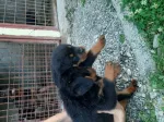 Slika 3