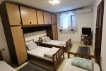 Slika 1