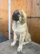 Slika 2