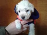 Slika 4