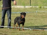 Slika 3