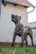 Slika 3