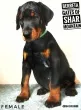 Slika 1