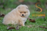 Slika 3