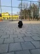 Slika 1