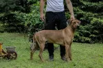 Slika 2