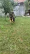 Slika 2