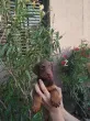Slika 2