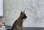 Slika 2