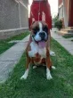 Slika 2