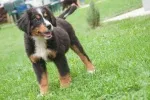 Slika 2