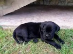 Slika 3