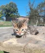 Slika 2