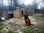 Slika 2