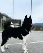 Slika 3