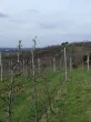 Slika 6