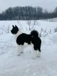 Slika 1