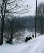 Slika 3