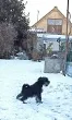 Slika 2