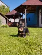 Slika 4
