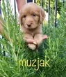 Slika 3