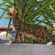 Slika 2