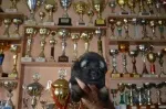 Slika 3