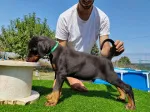 Slika 3