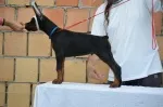 Slika 3