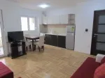 Slika 1