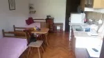 Slika 1