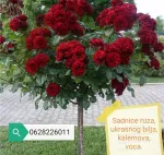 Slika 1