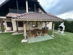 Slika 5