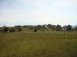 Slika 1