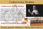 Slika 1